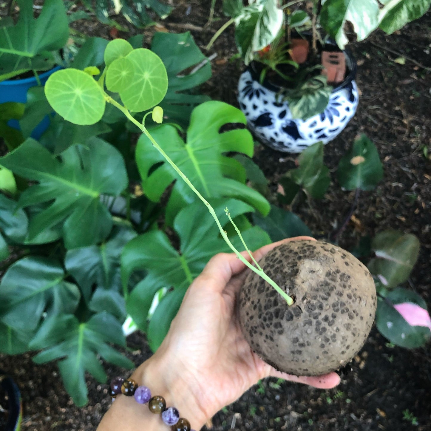 Amethyst & Tiger Eye Stretch Bracelet: Handmade Gemstone Jewelry