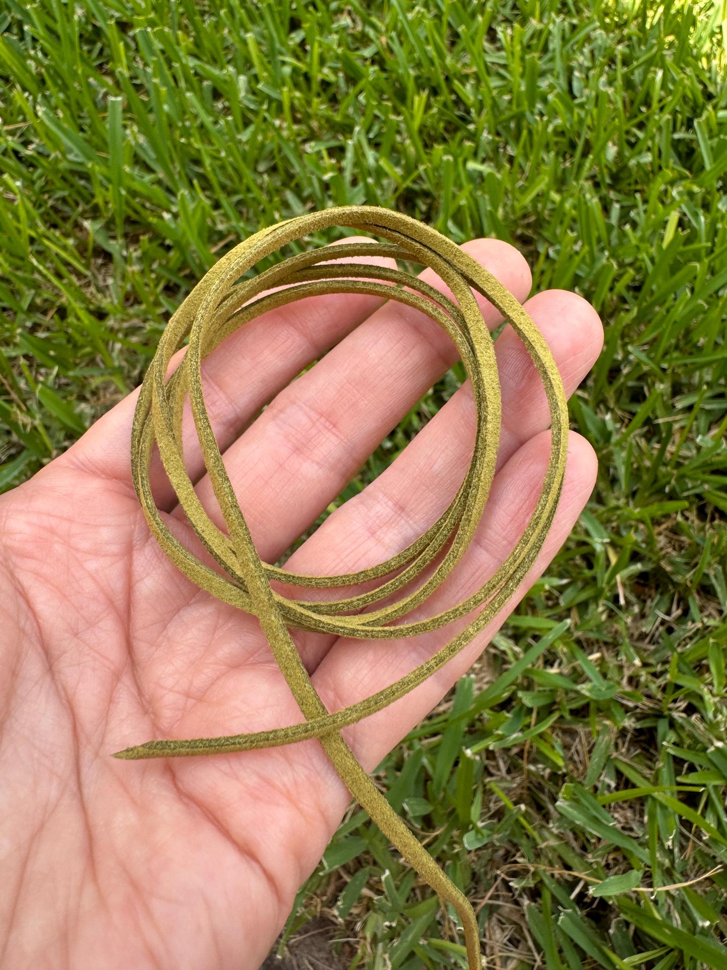 Rhodochrosite & Picture Jasper Hat Band: Vegan Suede Cord